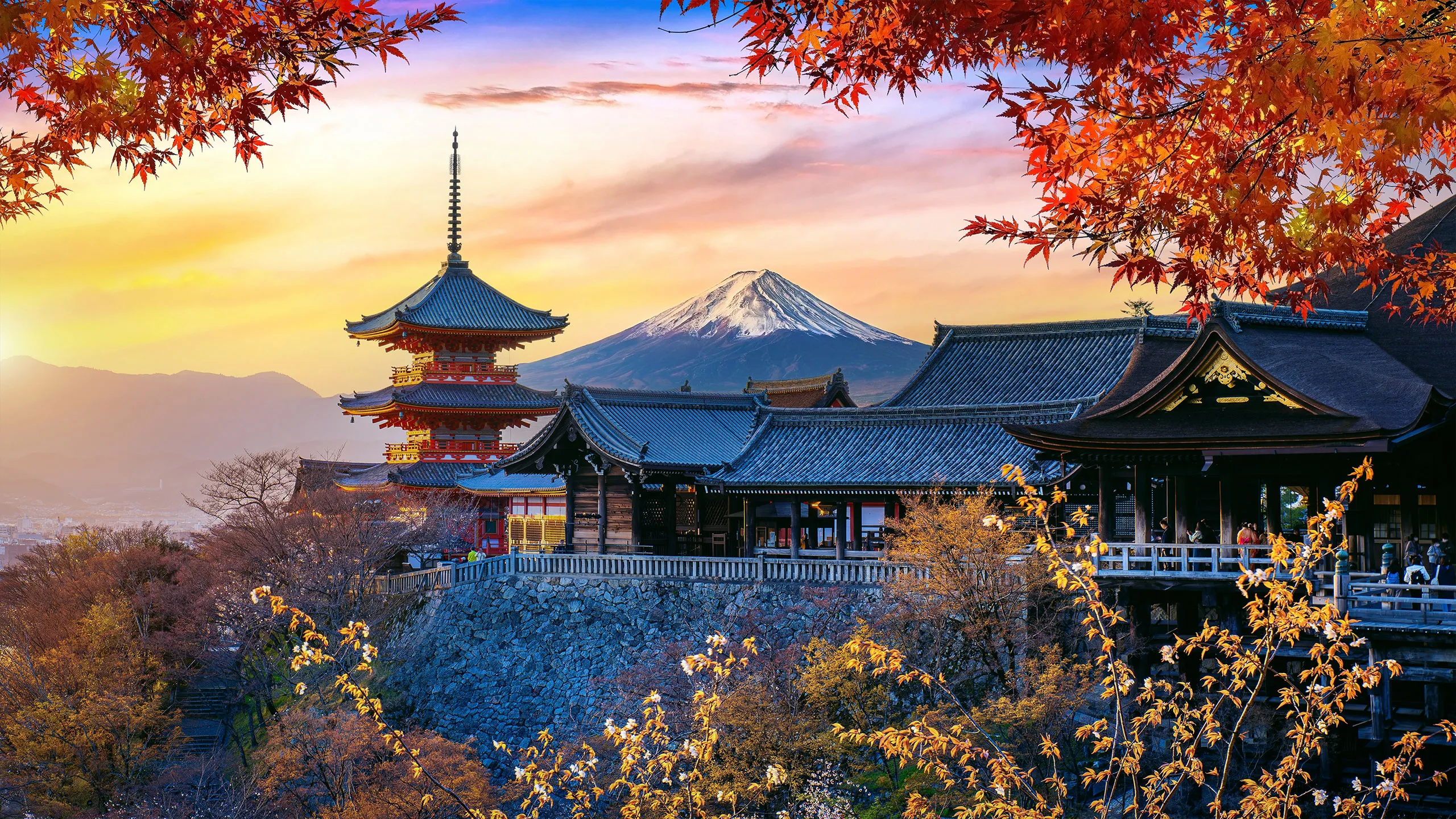 Japón